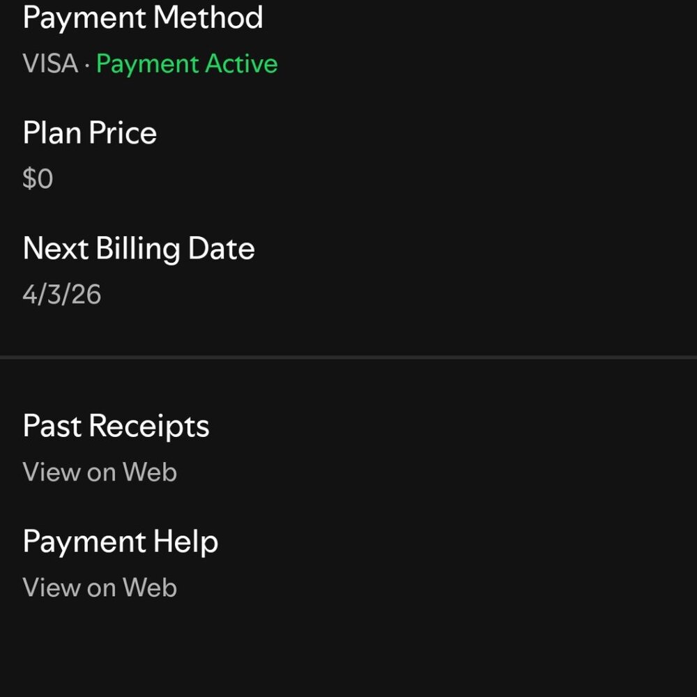 Individual spotify premium 4 months